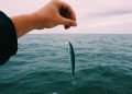 Giving Back to Support Youth Anglers
