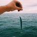 Giving Back to Support Youth Anglers