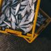The Lowdown on Fishing with Tip Downs