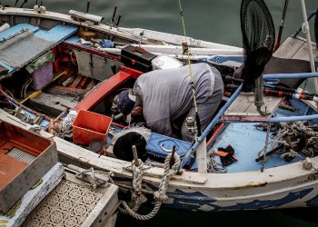 Tips for Catching Fish in River Systems