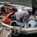 Tips for Catching Fish in River Systems