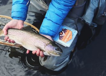 5 Proven Wet-Fly Methods for Steelhead