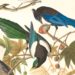The New Happy Turns Research Into Colorful Tools