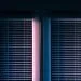If You Don’t Believe, Then You Have Nothing To Fear