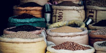 Saudi Trade-Off: More Social Freedom, No Political Dissent