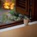 Coffee is Most Effective if Consumed in the Morning
