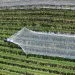 Calculating Water Benefits on Modern Coffee Farms