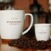 Starbucks Supplying 2 Million Coffee Seeds to Puerto Rico