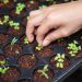 Opinion: Without Action, The Future of Coffee Is Not Secure