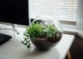 How to Build Your Own Desk for Less from Furniture