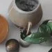 How Patterned Plants Can Spruce Up Your Winter