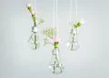 The Clever Ways You Never Thought to Display Your Plants