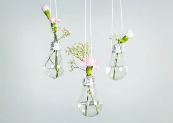 The Clever Ways You Never Thought to Display Your Plants