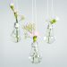 The Clever Ways You Never Thought to Display Your Plants