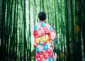 Is Japan the Most Overrated Travel Destination in the World?