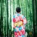 Is Japan the Most Overrated Travel Destination in the World?