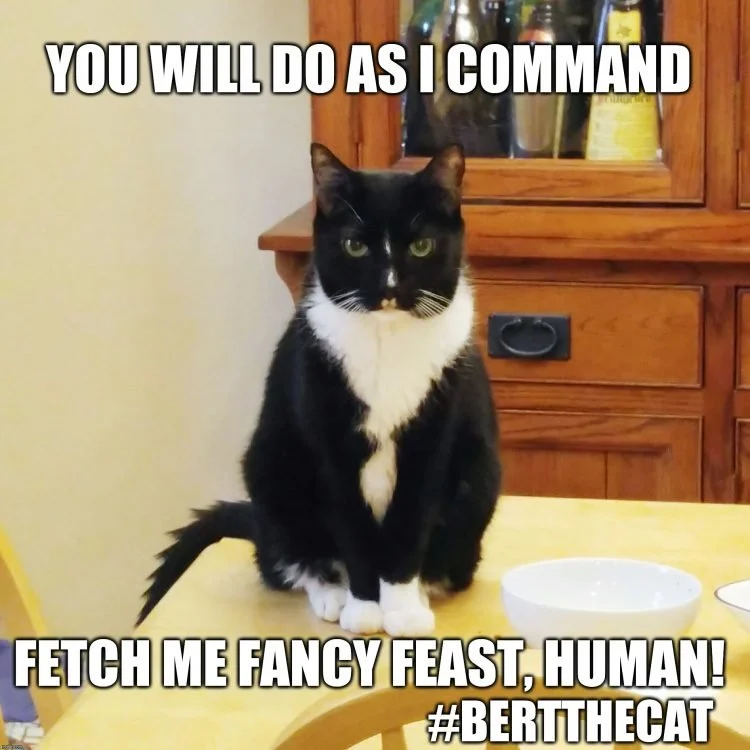 You will do as I command