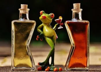 A frog can only take so much before completely losing it