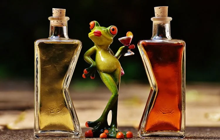 A frog can only take so much before completely losing it