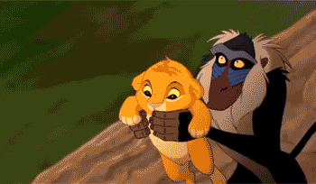 Poor lil’ lion, savage chimpanzee