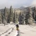 Antarctica tourism regulation urgent for environment: Summit