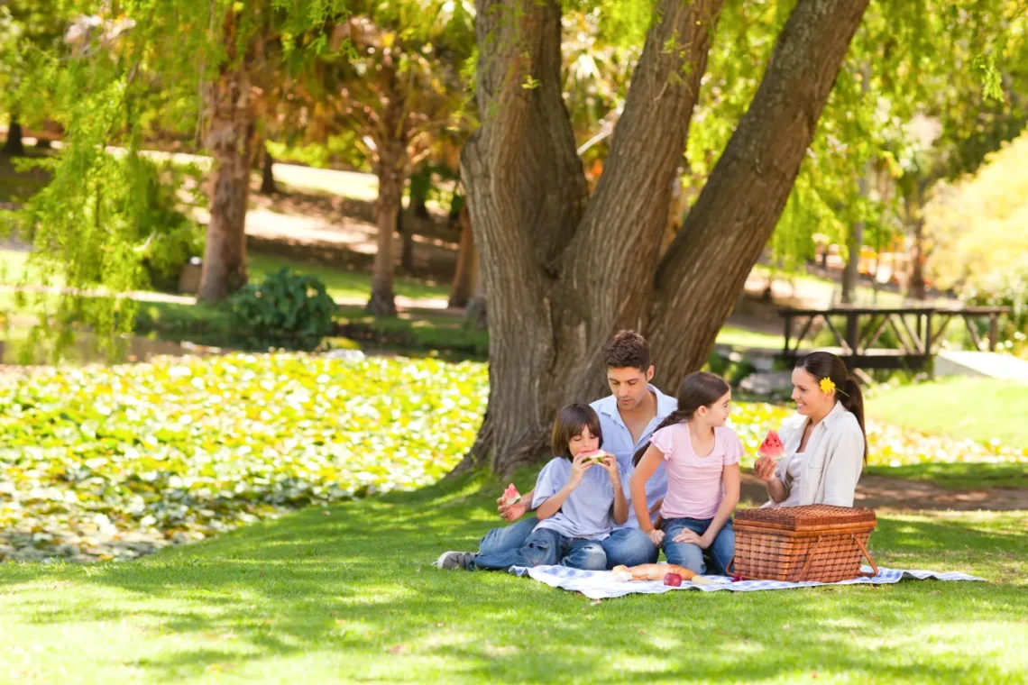 family picnicking