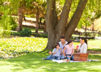 family picnicking