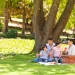 family picnicking