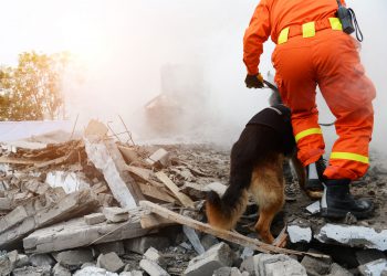 Police Officers From The K9 Unit During A Operation To Find Victims