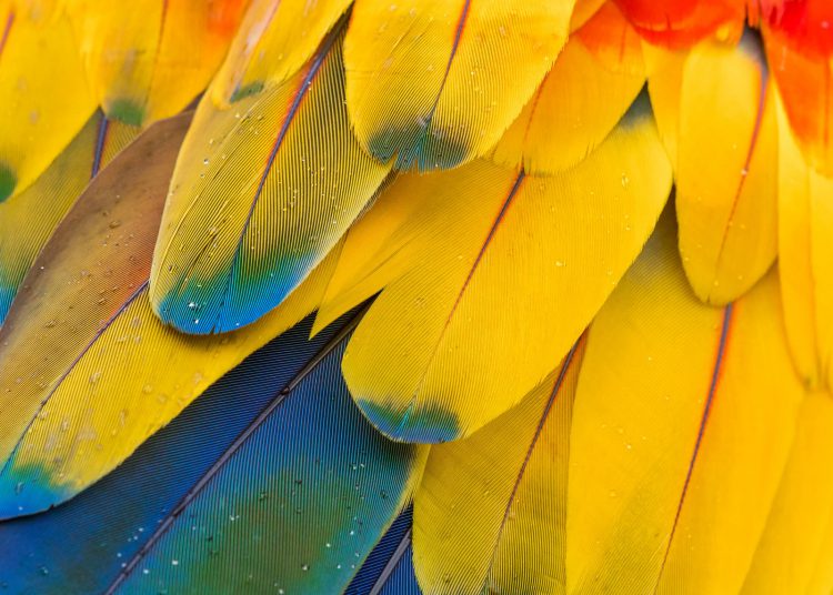 Image: Unsplash