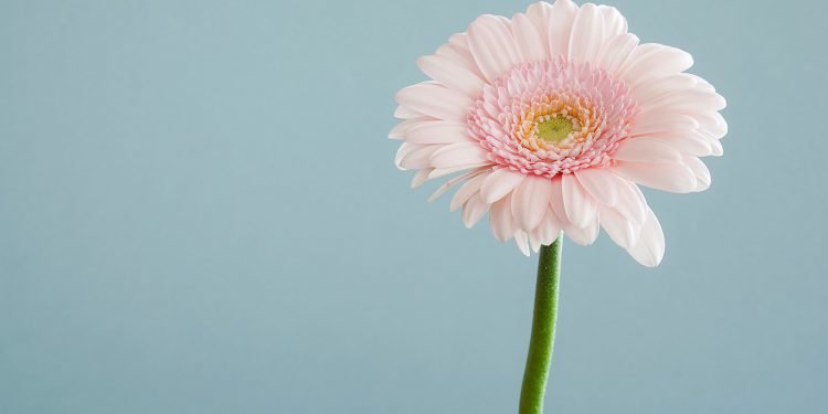 Daily Tips: A Beginner’s Guide to Photography
