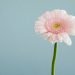 Daily Tips: A Beginner’s Guide to Photography