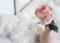 Say You’re Sorry with The Right Flowers