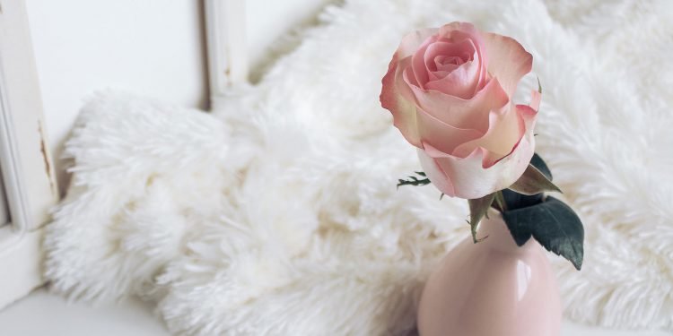 Say You’re Sorry with The Right Flowers