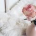 Say You’re Sorry with The Right Flowers