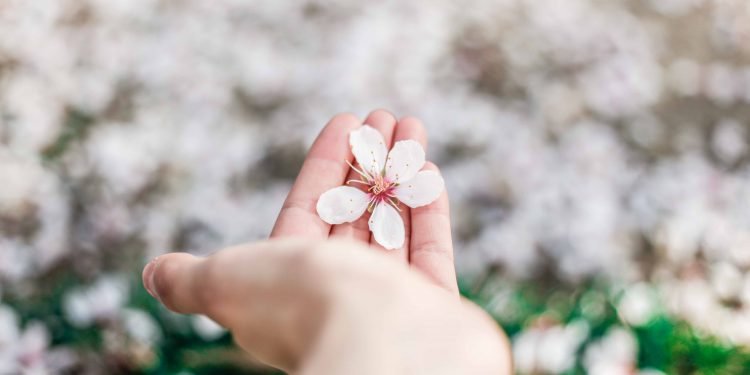 Daily Tips: One Thing You Can Do Today