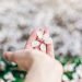 Daily Tips: One Thing You Can Do Today