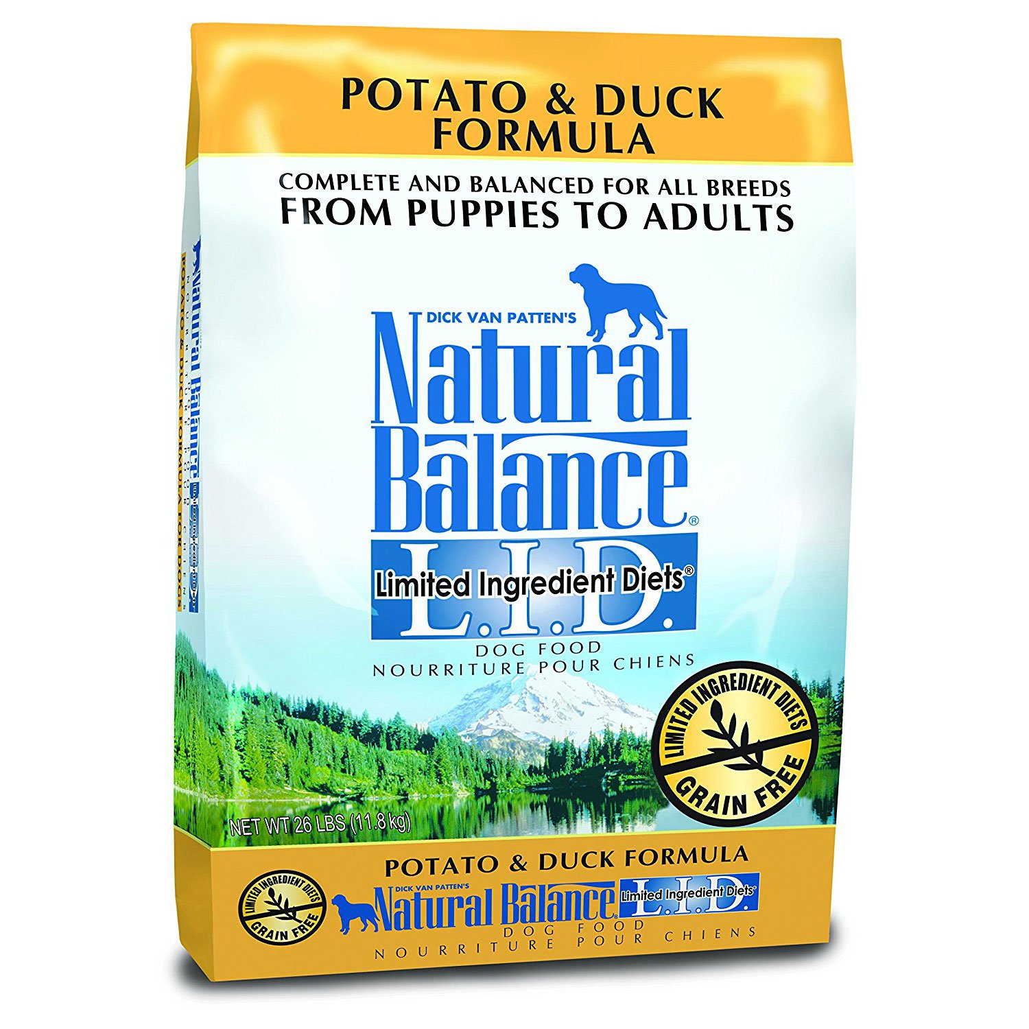 Hill's Science Diet Puppy Large Breed Dry Dog Food