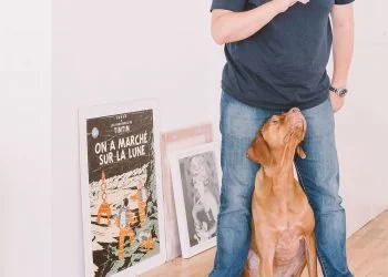 Why dogs make the best companions for your family
