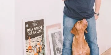 Why dogs make the best companions for your family