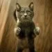Common mistakes of first-time dog & cat owners