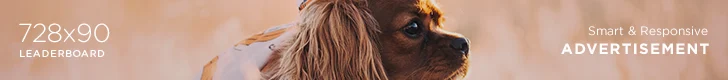 Advertisement Banner