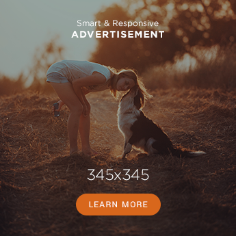 Advertisement