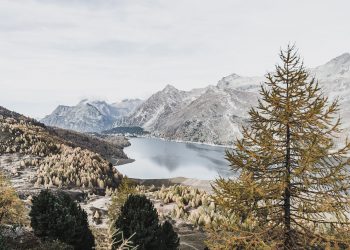 New Zealand man goes missing during Mount Merbabu hike