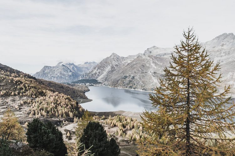 Source: Unsplash