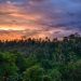 No smartphones by the River Pool: Ayana Resort Bali