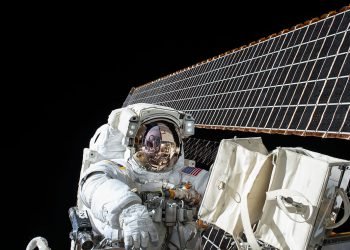 Satellite-based entanglement distribution over 1200 kilometers