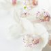 Homemade Body Scrubs To Have Your Skin Feeling Smooth