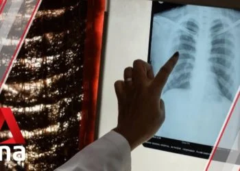 China pneumonia: Sars ruled out as dozens fall ill in Wuhan