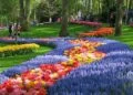The Netherlands Nixes ‘Holland’ as a Nickname